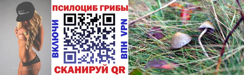 Галлюциногенные грибы GOLDEN TEACHER  Гаврилов-Ям 